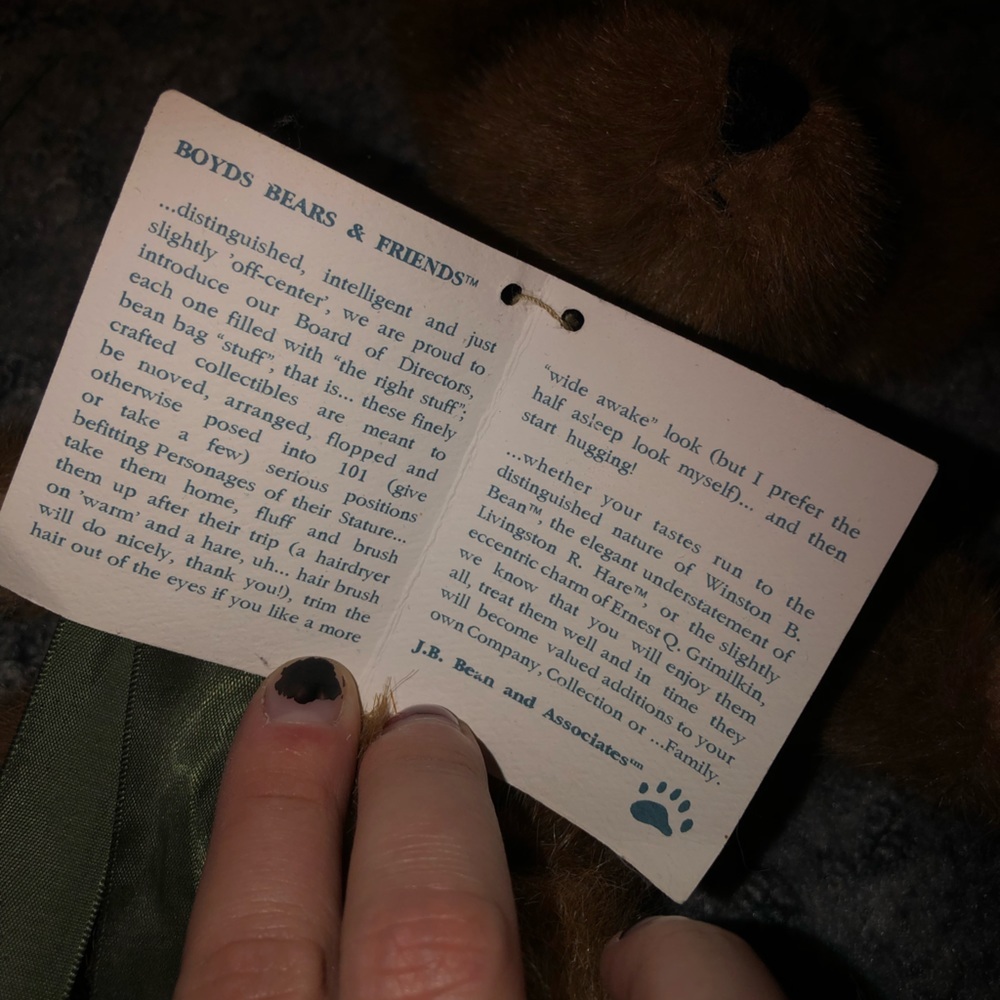 Boyd’s bear Craxton - Picture 2 of 4